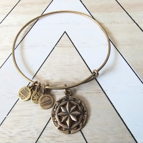 Alex and Ani Compass Bangle Bracelet - Picture 2 of 10